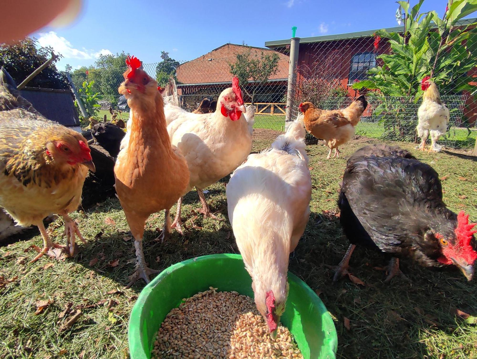 Ferienwohnung Steffenshagen Pritzwalk Dış mekan fotoğraf