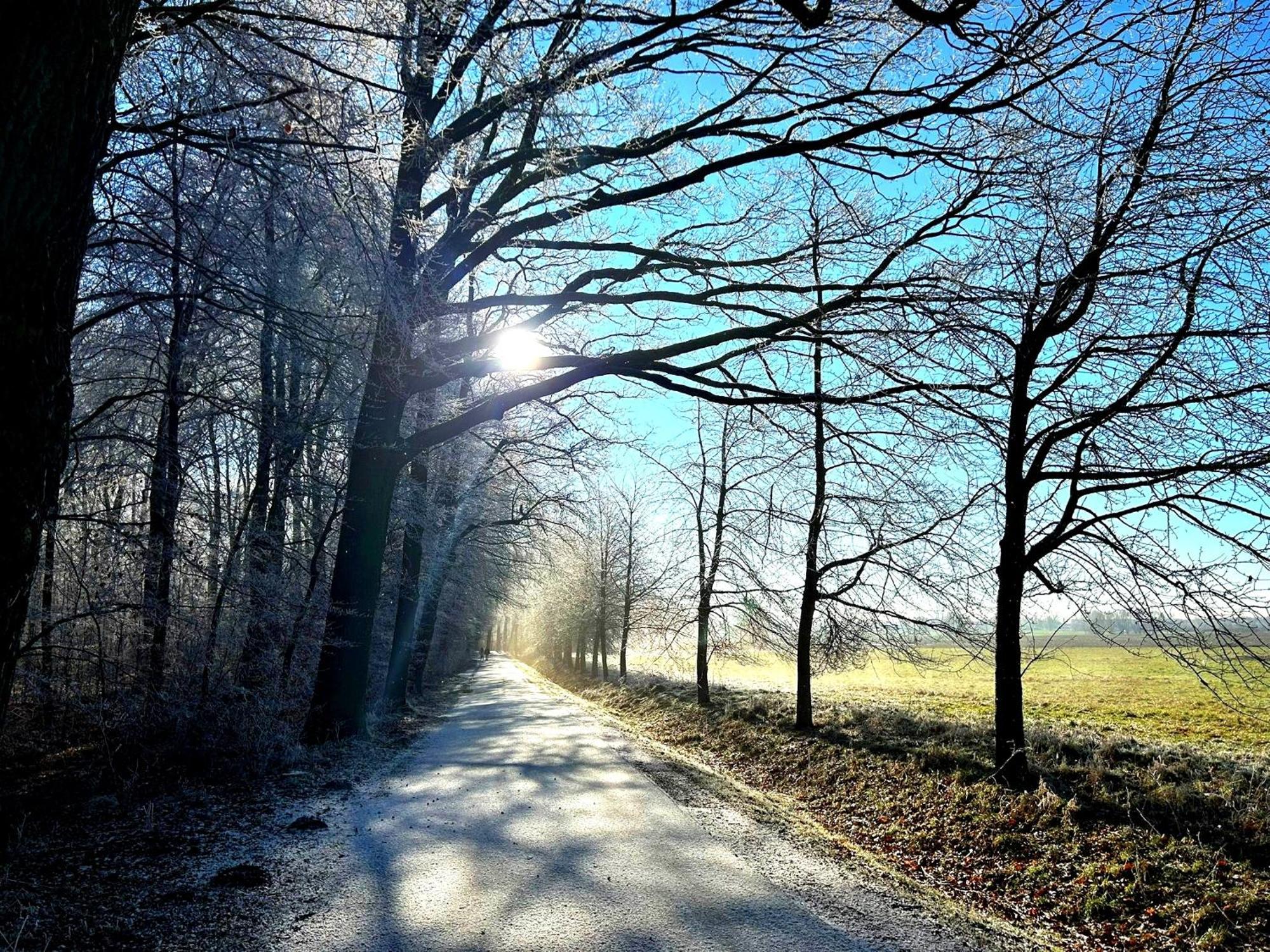 Ferienwohnung Steffenshagen Pritzwalk Dış mekan fotoğraf